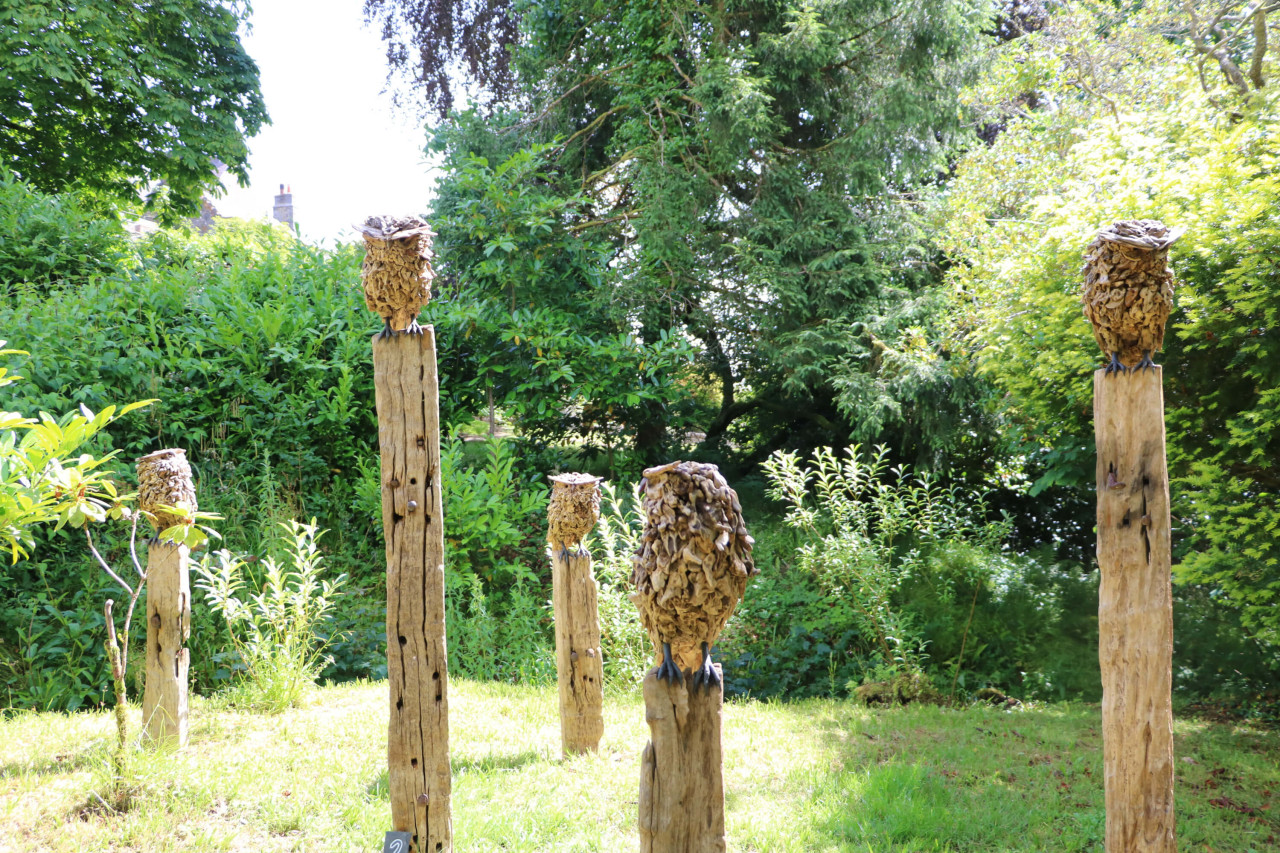 The Barn Owl's Respite