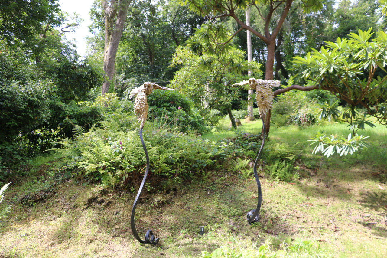 The Flight of the Barn Owl