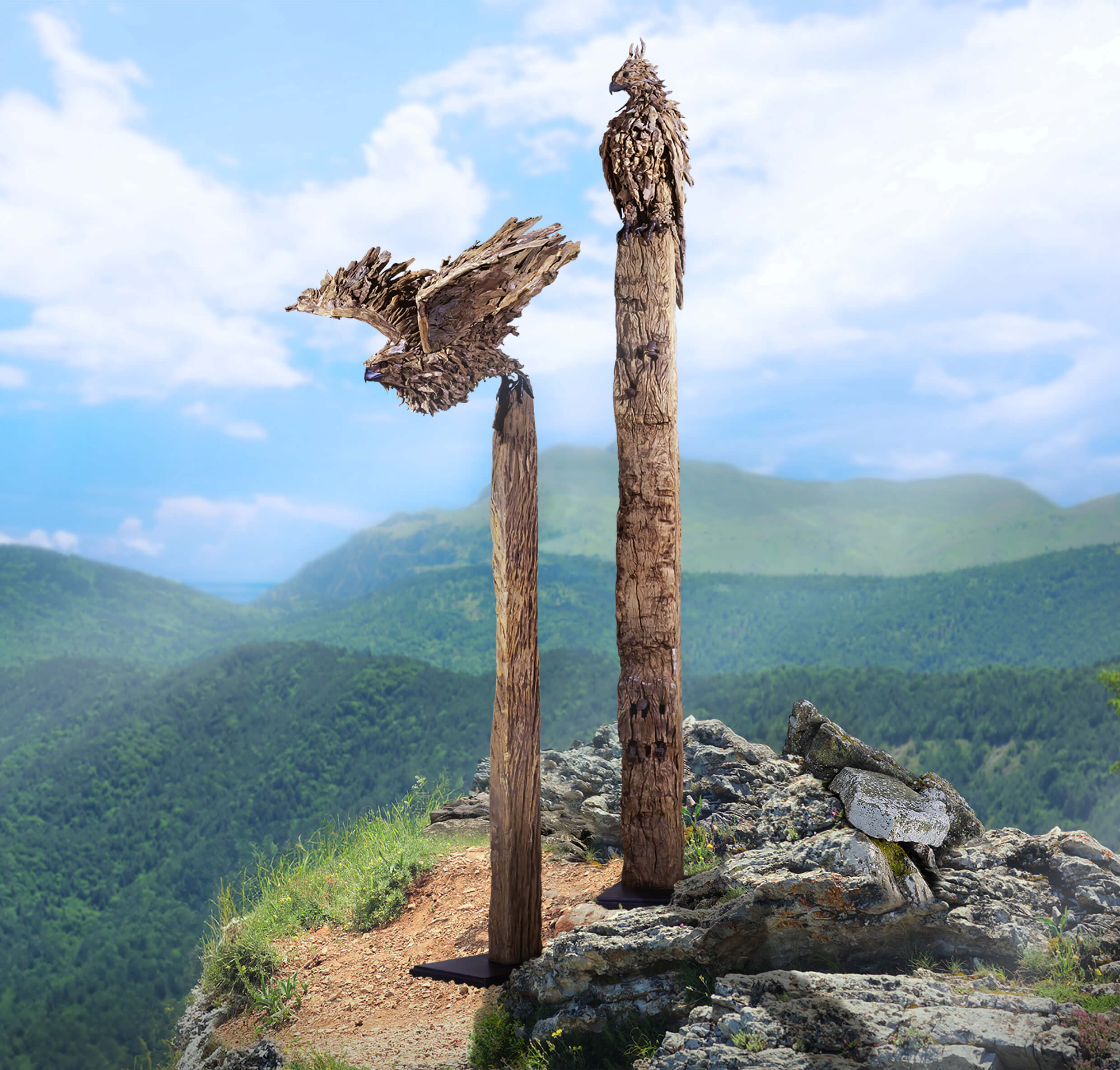 The Hawk-Eagles