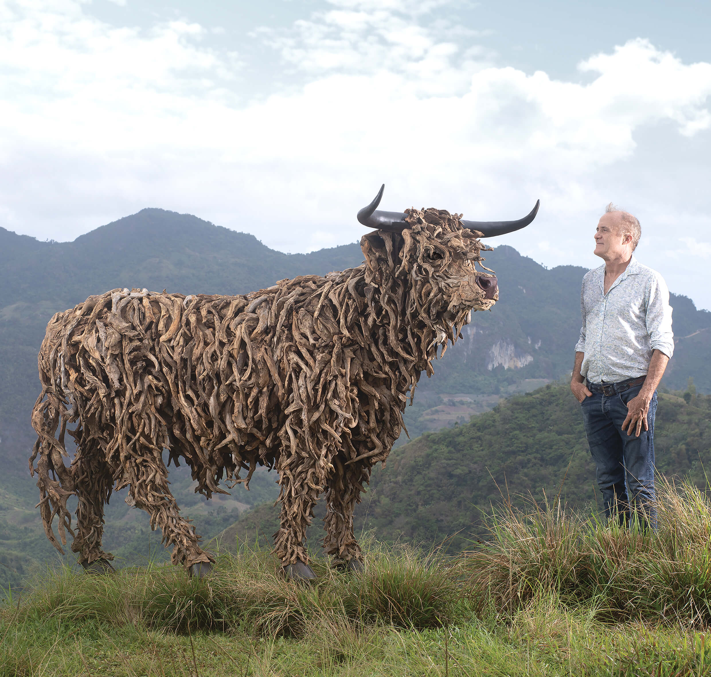 The Highland Bull