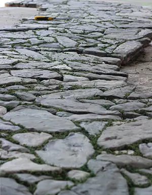 My cobbled pathway, complete with moss