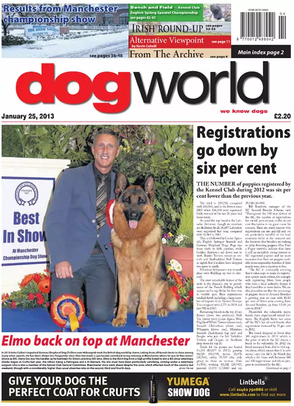 Dogworld Weekly - January 2013